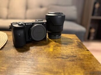 Sony a6600