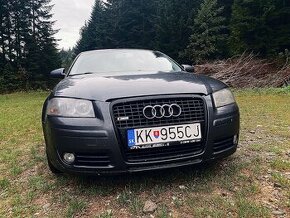 Audi A3 8p 1.9 TDI - 1