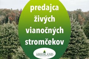 PREDAVAČ VIANOČNÝCH STROMČEKOV Malacky