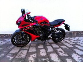 Honda CBR 650 RA padnuta