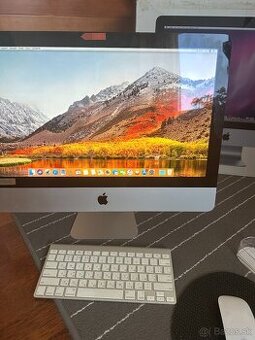 Apple iMac 2010 21,5"