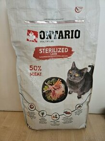 Ontario cat sterilised jahňa