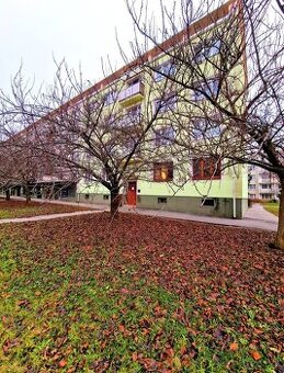 PREDÁM VEĽKÝ 2 IZB. TEHLOVÝ BYT S BALKÓNOM PRI CENTRE MESTA