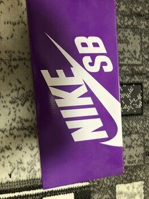 Nike Sb curt purpl