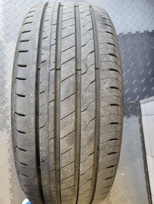 Goodyear EFFICIENTGRIP PERFORMANCE 2 205/55 R16 91 V Letné