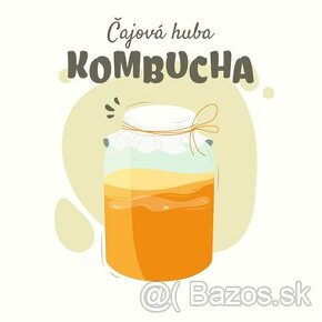 Kombucha čajová huba