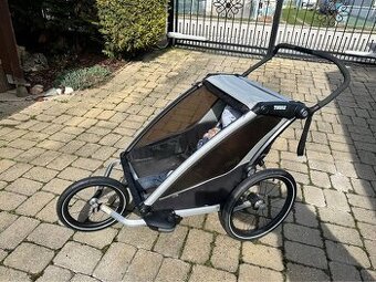 Thule Chariot Lite 2 Agave