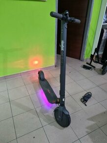 elektr kolobežka Ninebot Segway Kickscooter E25E - 1