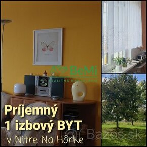 Príjemný 1 izbový BYT s balkónom ....Na Hôrke...NITRA  (156-