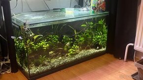 Predám akvarium 250l