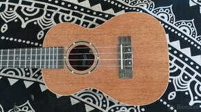 Koncertné ukulele STAGG UC-30