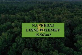 LESNÉ POZEMKY 15.563m2, BORSKÝ MIKULÁŠ, okr. SENICA