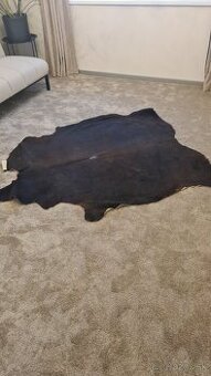 Predam cow carpet