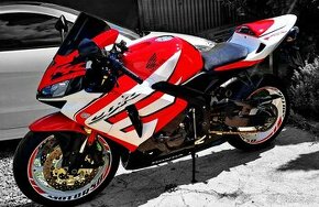 Honda CBR600 RR 2006 (RSD Progress)