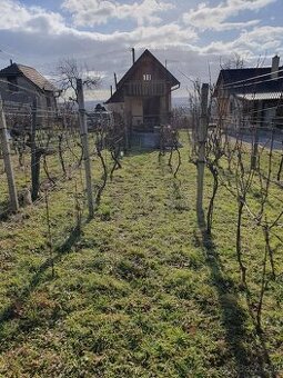 Viničný domček-Jelenec