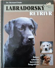 Labradorský retríver, Letničky a detektívka - 1