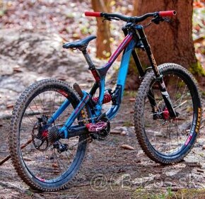 Lapierre DH team