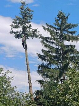 Výrub a orez stromov, arboristické práce