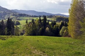 Rekreačný pozemok TTP - Suchý Vrch, Radvaň, Mútne