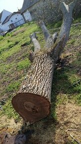 Orechove drevo - 1