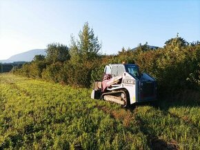 ponúkam čistenie pozemkov ,odstranovanie pňov