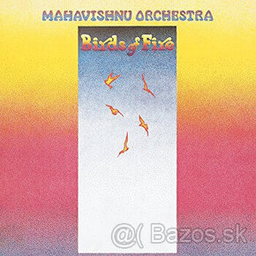 Mahavishnu orchestra