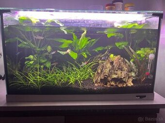 Akvárium 60l + filtrácia - 1