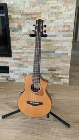 Elektroakustické Ukulele Ibanez