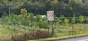 Paulownia-Agát turbo Obelisk