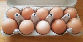 Šťastné slepačie vajíčka
