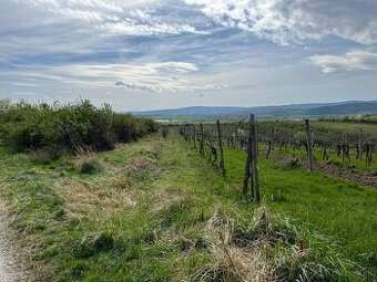 Predám pozemok v Modre, okres Pezinok: 783 m² - 1