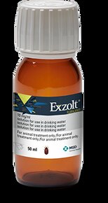 Exzolt - 1