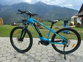 ebike