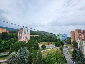 1.izbovy byt s logiou Partizanske/rezervovany