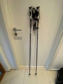 Palicky Leki 135 cm Carbon