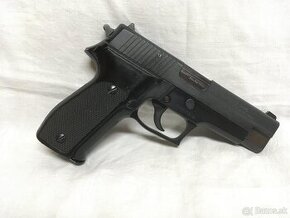 Sig Sauer P226