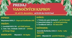 PREDAJ VIANOČNÝCH KAPROV - VÝCHOD