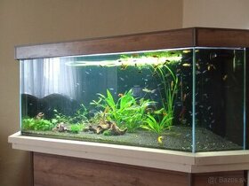 Rohové akvarium - 1