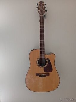 Takamine GD93CE