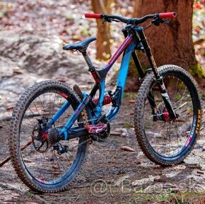 Lapierre DH team - 1