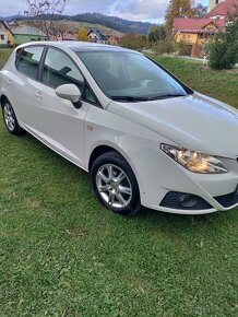 Seat Ibiza - 1