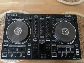 Roland DJ-202