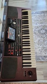 Korg pa1000