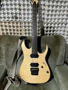 Ibanez RG721 premium