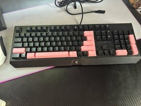 Razer blackwidow chroma