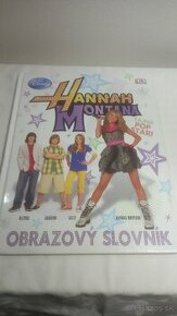 Obrazový slovnik Hannah Montana kniha