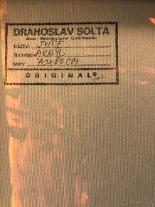 Originálny obraz od českého autora Drahoslava Šolty.