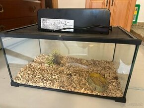 Terarium pre  druh terarijne zviera ( u nás korytnačka)