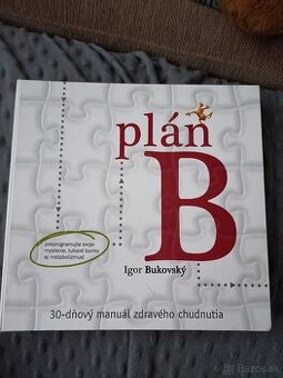 Igor Bukovsky, plan B