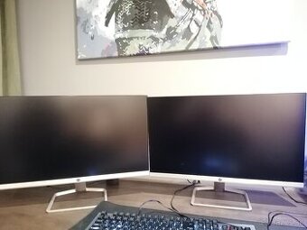 2x Monitor 24″ HP24F